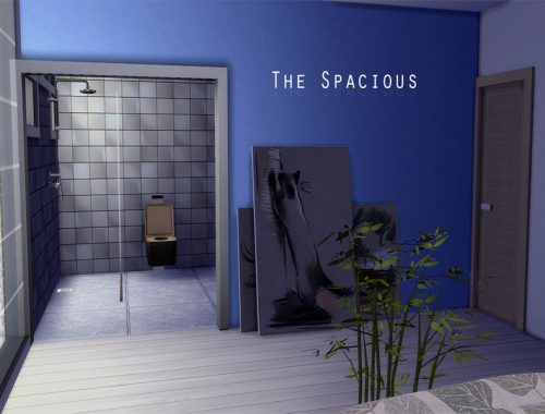 The Spacious