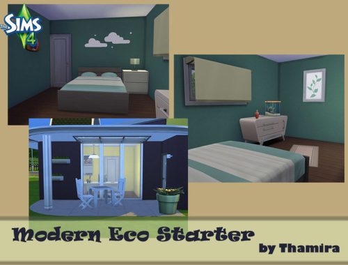 Modern Eco House