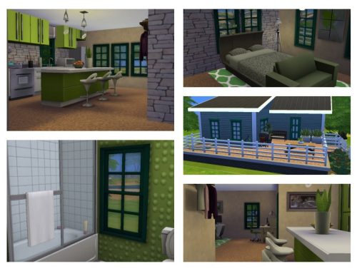 Evergreen Starter Home