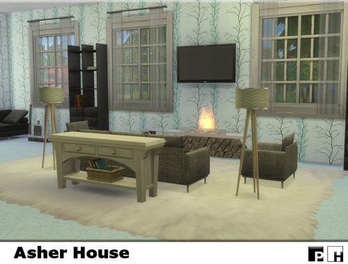 Asher House