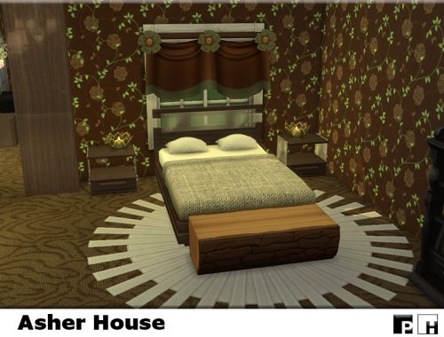 Asher House