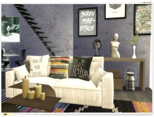 Modern Mini Home