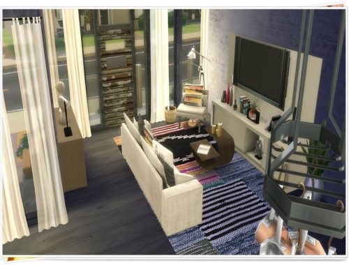 Modern Mini Home