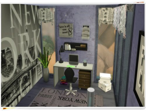 Modern Mini Home