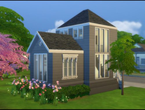 Town Meets House