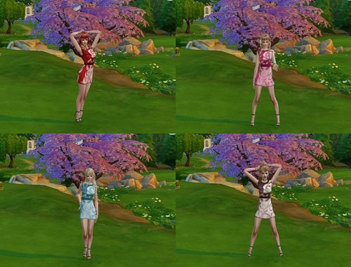 Dress chemise flower roses