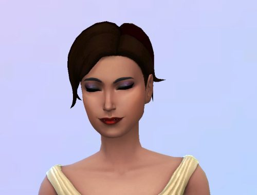 [Juuth] Twotone updo bun