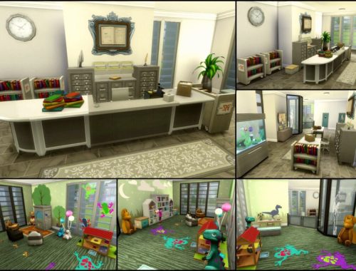 Sim's Public Library