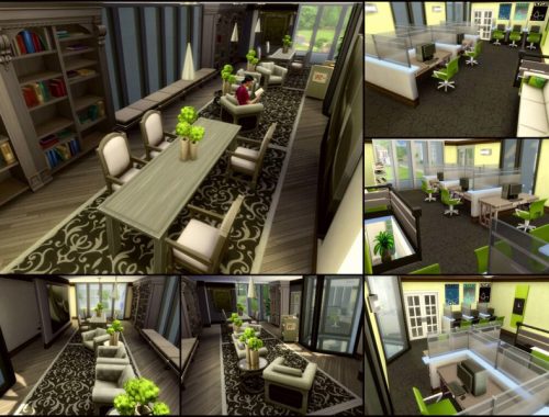 Sim's Public Library