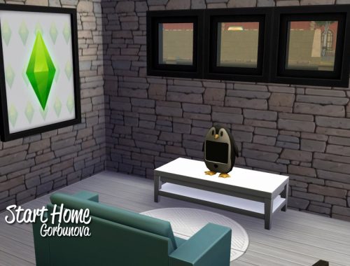 Starter Home