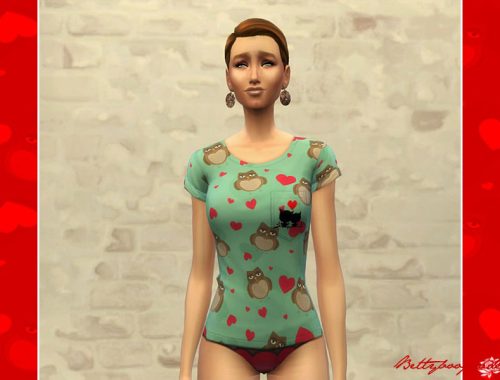 Valentines day owl women