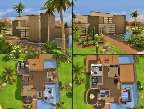Oasis