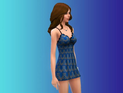 Blue Floral Body Chemise