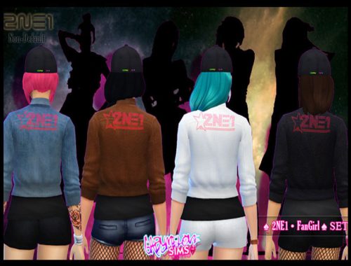 2NE1 FanGirl SET