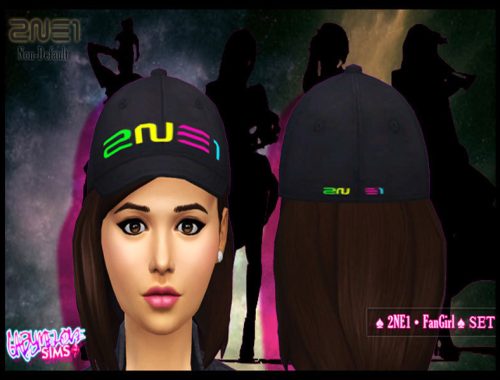 2NE1 FanGirl SET