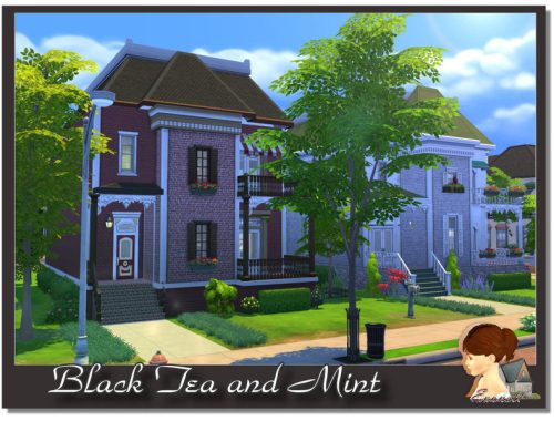 Black Tea and Mint