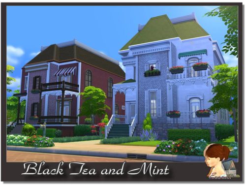 Black Tea and Mint