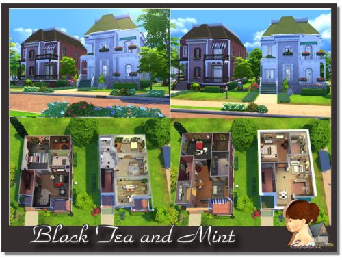 Black Tea and Mint