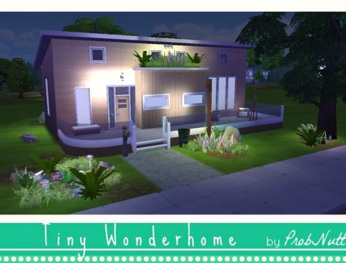 Tiny Wonderhome Box