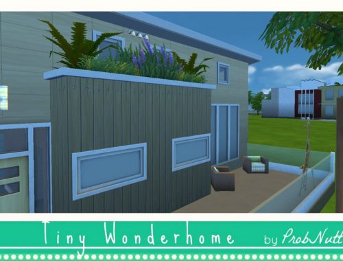 Tiny Wonderhome Box