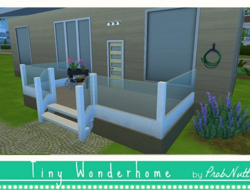 Tiny Wonderhome Box