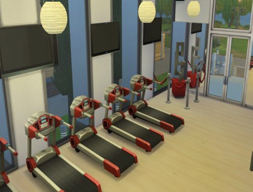 Bladerised's Gym01