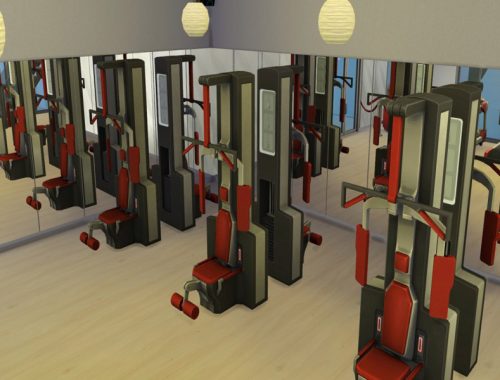 Bladerised's Gym01