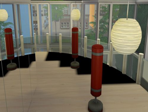 Bladerised's Gym01