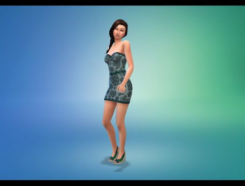Mini Dress Recolor Lace