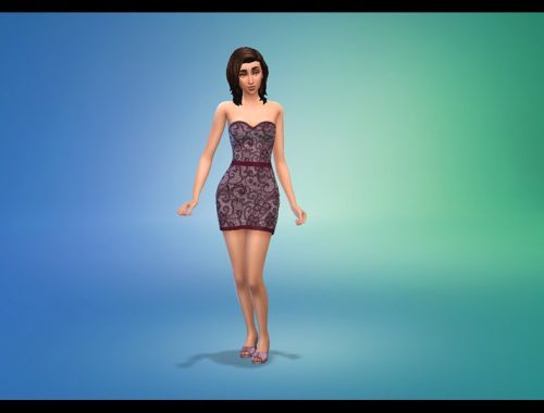 Mini Dress Recolor Lace
