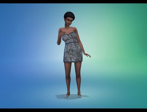 Mini Dress Recolor Lace