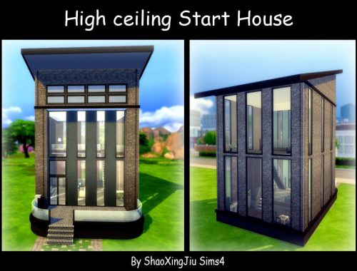 High ceiling Start House