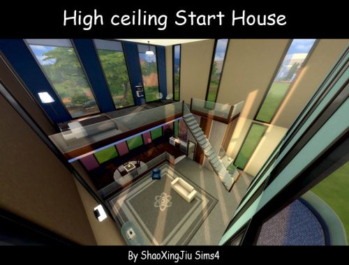High ceiling Start House