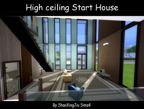 High ceiling Start House