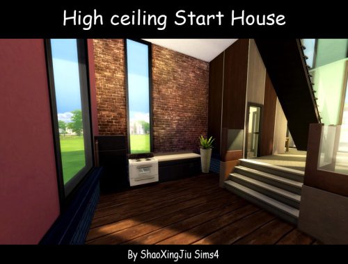 High ceiling Start House