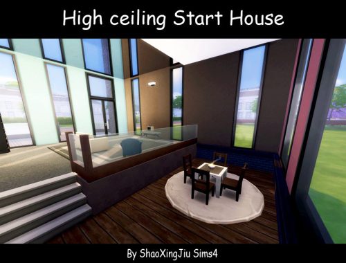 High ceiling Start House
