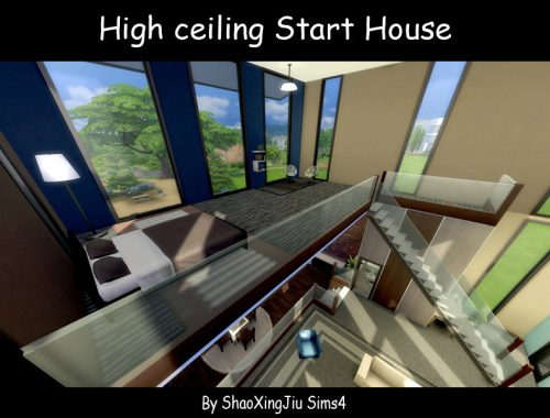 High ceiling Start House