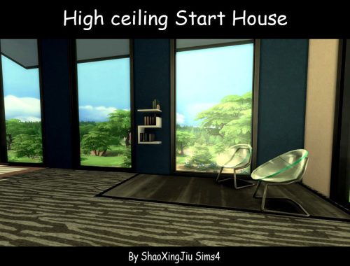 High ceiling Start House