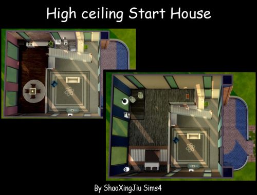 High ceiling Start House