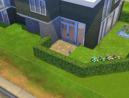 Sweet Modern House
