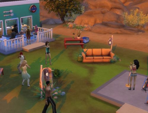 Cactus Couch Cafe
