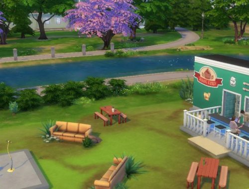 Cactus Couch Cafe