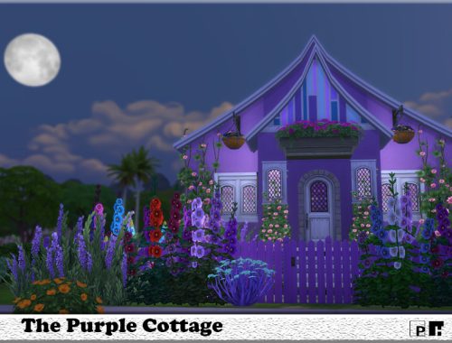 The Purple Cottage -NO CC