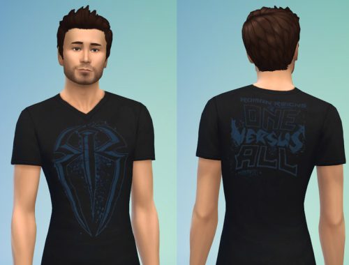 WWE Shirt Set 6