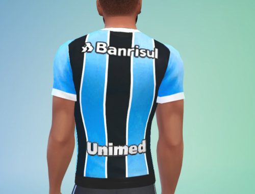Gremio 2017
