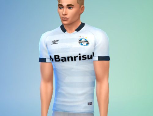 Gremio 2017