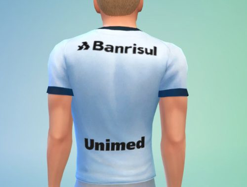 Gremio 2017