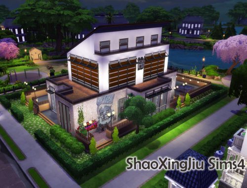 Modern Single House