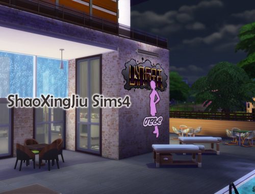 Modern Single House