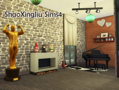 Modern Single House